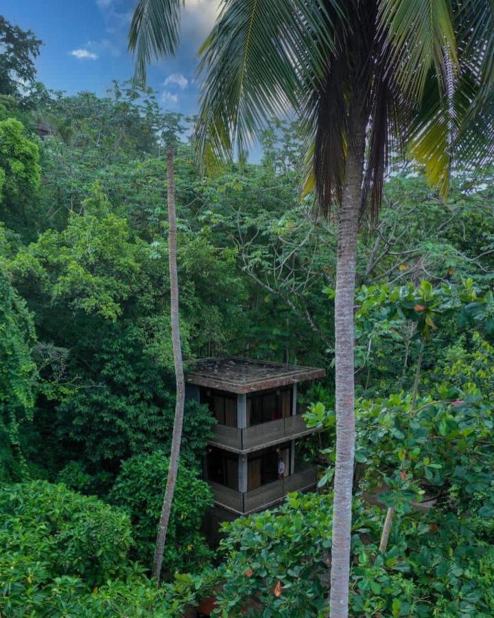 Taino Beach Lofts El Valle Extérieur photo